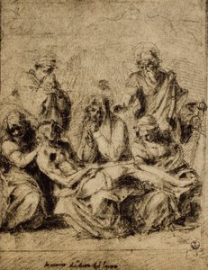 研究沉积，由Andrea del Sarto绘制。内阁图纸和版画，乌菲齐画廊，佛罗伦萨 作者 安德里亚·德尔·萨托（Andrea del Sarto）