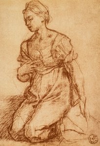 研究一个女人;由Andrea del Sarto绘制。内阁图纸和版画，乌菲齐画廊，佛罗伦萨 作者 安德里亚·德尔·萨托（Andrea del Sarto）