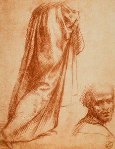 研究帷幔和男性肖像;由Andrea del Sarto绘制。内阁图纸和版画，乌菲齐画廊，佛罗伦萨 作者 安德里亚·德尔·萨托（Andrea del Sarto）