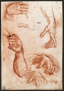 "手的研究 "图画炭笔（木炭 作者 安德里亚·德尔·萨托（Andrea del Sarto）