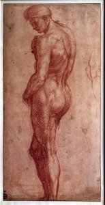 男性裸体研究 安吉洛（Andrea d