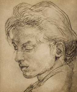 温柔的头部轮廓 作者 安德里亚·德尔·萨托（Andrea del Sarto）