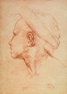 青少年负责人 作者 安德里亚·德尔·萨托（Andrea del Sarto）