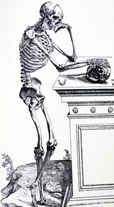 手持头骨的人体骨骼。选自维萨留斯的《De Humani Corporis Fabrica》。可能的樵夫：Jan von Calcar