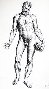 De Humani Corporis Fabrica第七册中的版画