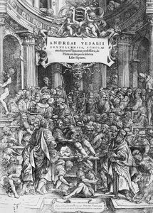 De humani corporis fabrica（拉丁语为 On fabric of human body）的扉页，其中描绘了 Andreas Vesalius 解剖尸体