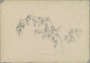 黑莓