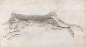 死兔子 作者 安德鲁·格德斯（Andrew Geddes）