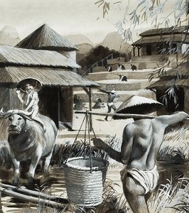 中国的农耕（纸上水粉画） 作者 安德鲁·豪瓦特