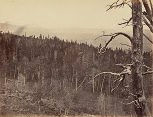 图版 13.拉莱米山脉的雪线和林线，1869 年（照片） 作者 安德鲁·约瑟夫·拉塞尔