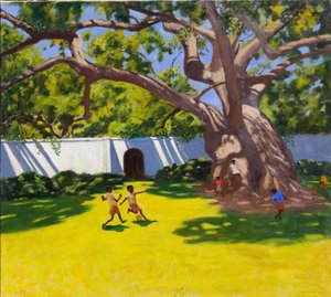 古老的CAMPOR树，VERGELEGEN ESTATE，南非 作者 安德鲁·马卡拉（Andrew Macara）