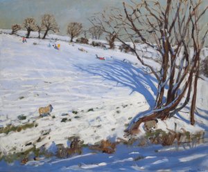  作者 安德鲁·马卡拉（Andrew Macara）
