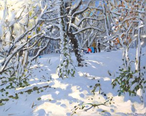 圣诞节雪橇在Allestree Woods，16x20,2013
