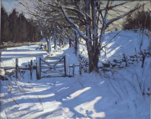 在德比郡Youlgreave附近的门 作者 安德鲁·马卡拉（Andrew Macara）