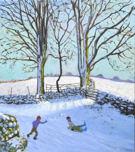 大树和雪橇，德比郡，2023 年（布面油画） 作者 安德鲁·马卡拉（Andrew Macara）