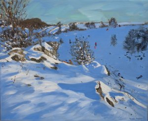 雪橇，德比郡，2011 年 作者 安德鲁·马卡拉（Andrew Macara）