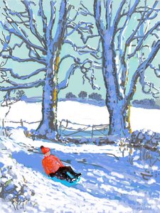 德比郡的雪橇，2021 年（Ipad 打印） 作者 安德鲁·马卡拉（Andrew Macara）