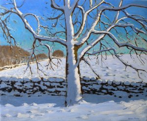 雪覆盖的树，2011（布面油画） 作者 安德鲁·马卡拉（Andrew Macara）