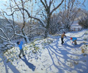 雪球大战，2007年 作者 安德鲁·马卡拉（Andrew Macara）