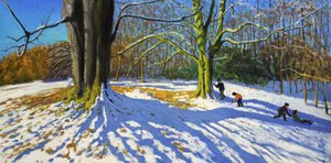 阿莱斯特里公园之巅，2014 年（布面油画） 作者 安德鲁·马卡拉（Andrew Macara）