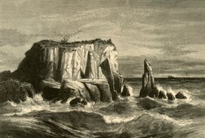 海岸风景，马林县》，1872年。 作者 安德鲁·瓦里克·斯托特·安东尼