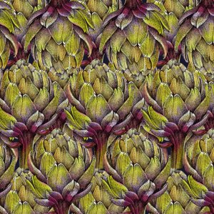 Globe artichoke heads, 2018 作者 安德鲁·沃森