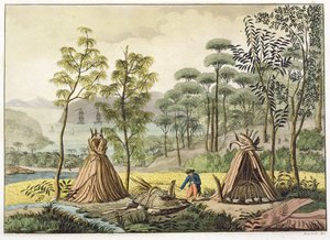 Burles Customs，New Holland，来自Jules Ferrario的&39;Le Costume Ancien et Moderne&39;的第63页，出版于1820年代至30年代