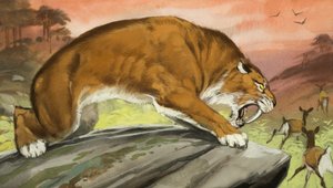 剑齿虎外出狩猎 作者 安格斯·麦克布莱德