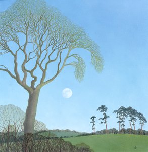 早月，2007 作者 安脑