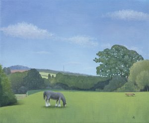 Emmas View，2008
