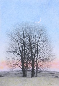新月，2011（彩色铅笔在纸上） 作者 安脑