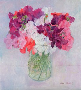 甜豌豆，1999
