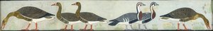 来自Itet的Mastaba的壁画副本，Medum IV，93-94只鹅，20世纪 作者 安娜