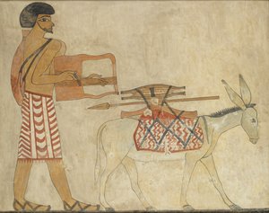 壁画副本，Khnumhotpe三世的私人墓3，Beni Hasan，20世纪 作者 安娜