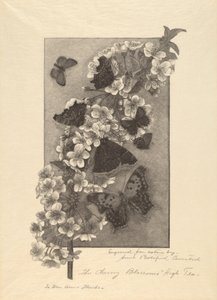 樱花 - 下午茶 作者 安娜·博茨福德·康斯托克（Anna Botsford Comstock）