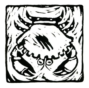 星座（巨蟹座），2017 年（亚麻印花布） 作者 安娜丽莎·摩洛哥