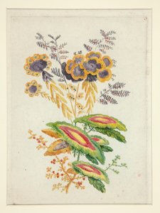 奇妙的花朵，选自《供设计师和画家使用的理想花朵笔记本新套装