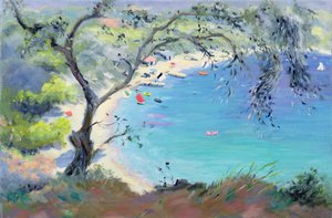 Lichnos Bay，伊庇鲁斯，希腊，1995年