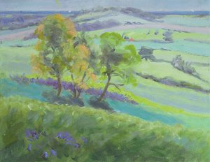 走向Winchelsea，苏塞克斯，春天的Bluebells