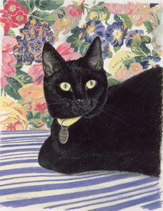 黑猫