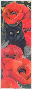 黑猫与罂粟