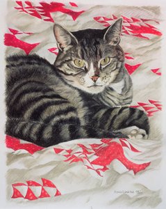 被子上的猫