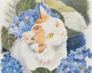 土耳其范