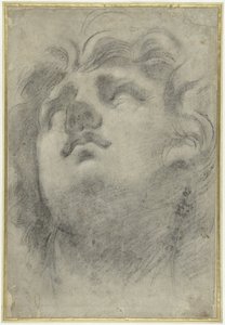 看到三纹龙的头部 作者 Annibale Carracci