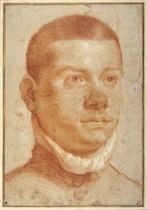一个年轻人的肖像头像（红色粉笔） 作者 Annibale Carracci