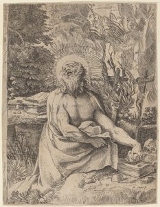 荒野中的圣杰罗姆 作者 Annibale Carracci