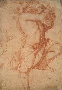 半裸的男孩，16世纪末 作者 Annibale Carracci