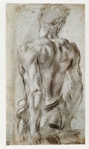 男性人物研究... 作者 Annibale Carracci