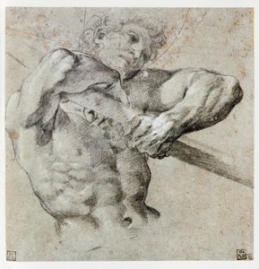 男性人物研究... 作者 Annibale Carracci