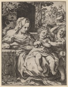 燕子圣母 作者 Annibale Carracci